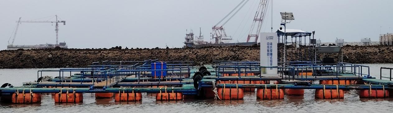 光伏耦合能源自持式流动型电化学海水提铀装置海试图。受访者供图