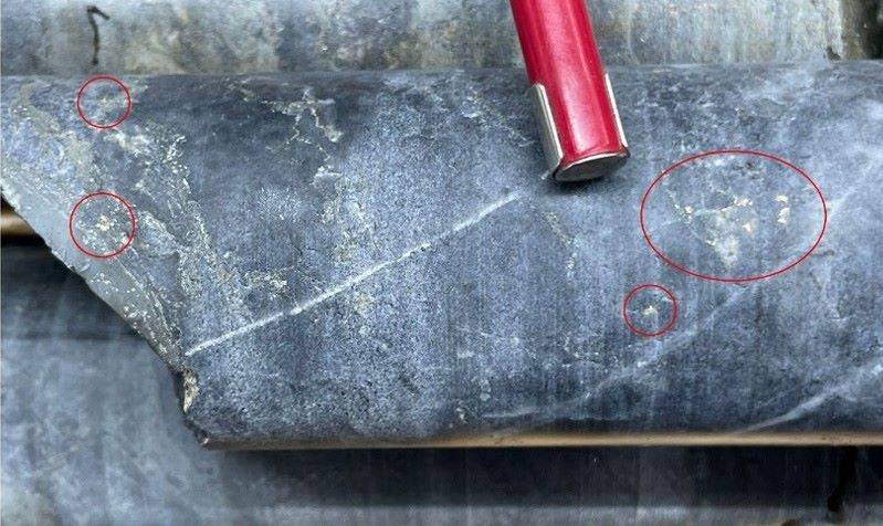 Bullion Gold Resources在Bousquet项目内的Amadee勘探区发现了浅层矿化。图片：Bullion Gold Resources。