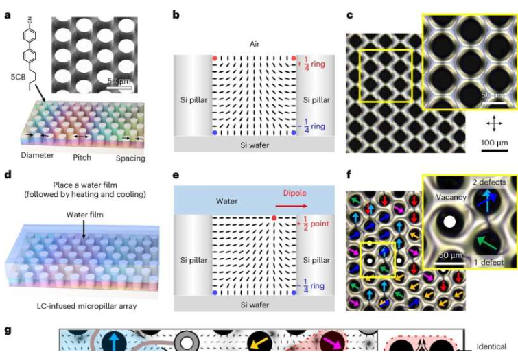 微柱阵列受限液晶中的弹性偶极子