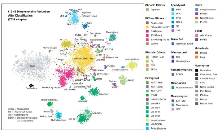 对完整数据集进行 t-SNE 降维后，所有样本(训练数据集中的 5,150 个样本和重新分类的 2,184 个诊断不确定的样本)的表示