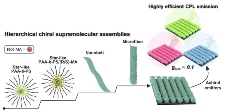 通过多级手性超分子组装体构建全色高效CPL活性材料的通用策略