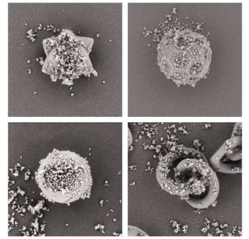 四种测试粒子设计的比较：左上：Pharmacone;右上：Soccerball;左下：Sphere;右下：Rollingknot。所有结构均采用微米级高精度3D打印技术制作。