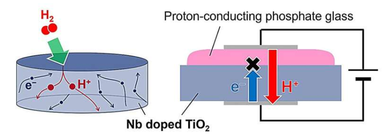 Nb掺杂TiO2 中质子-电子混合传导示意图及使用质子传导磷酸盐玻璃测量质子传导率