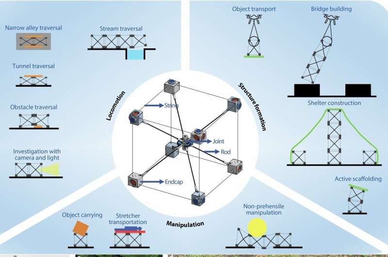 机器人功能及案例。图片来源：《自然通讯》（2025）
