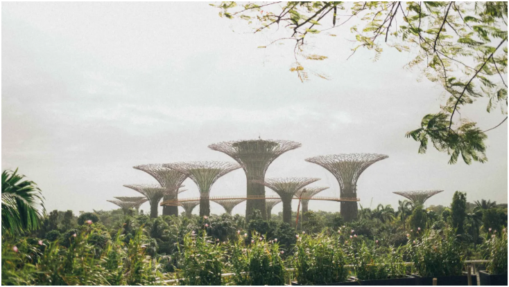 照片由 Elina Sazonova 通过 Pexels 拍摄