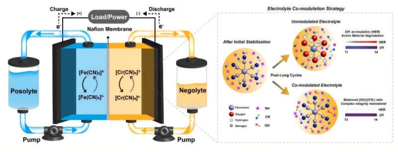 铁铬氧化还原液流电池基本结构示意图。图片来源:Angewandte Chemie International Edition (2025)