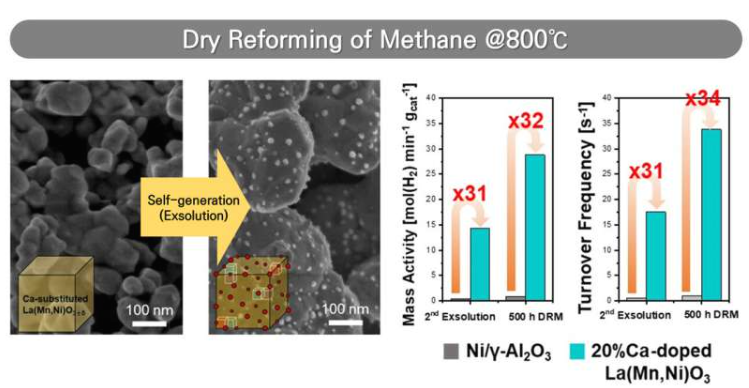 传统催化剂与新开发催化剂的活性对比图