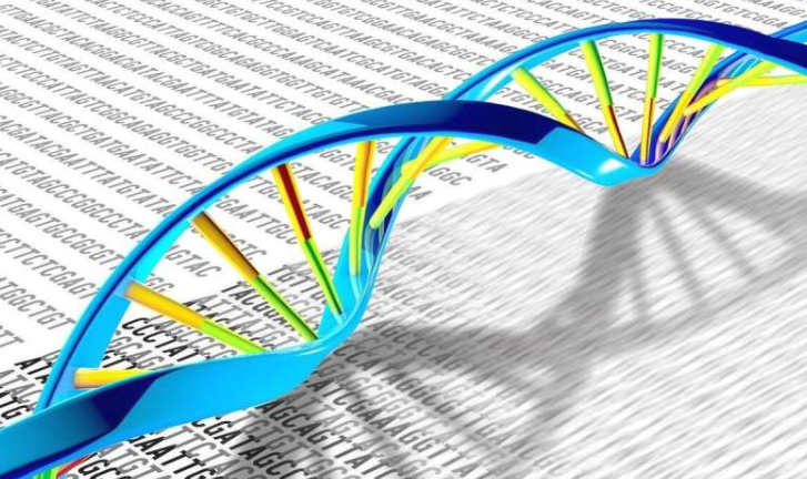 DNA具有双螺旋结构,可能存在多种基因突变和变异