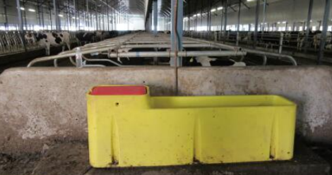 حوض مياه شرب بدرجة حرارة ثابتة بطول 2 متر