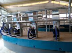 Rotationsmelkmaschine