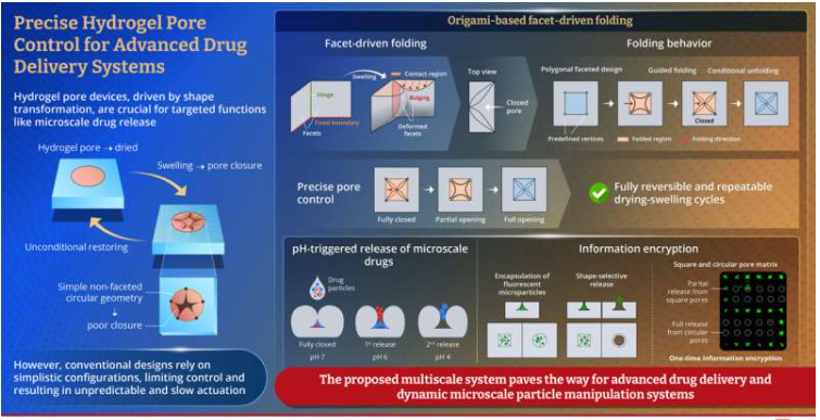 该策略利用&ldquo;面铰链&rdquo;结构，引导多边形孔隙中的面沿预定方向膨胀，从而实现对孔隙闭合和修复的精确控制。