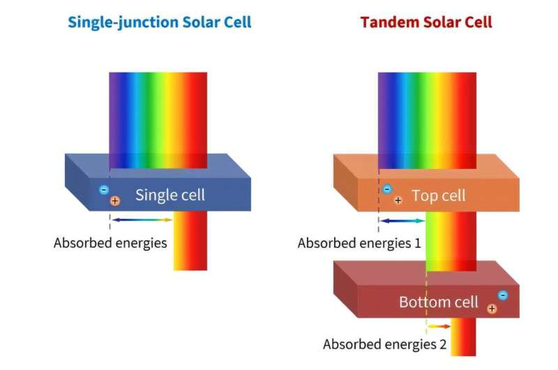 图片来源：伦敦大学学院