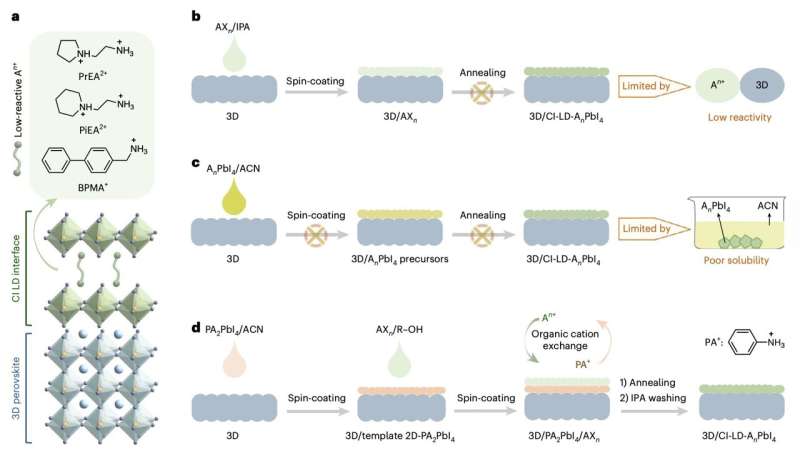 1 / 1三维钙钛矿上CI LD界面生长的潜在溶液可处理策略。图片来源：《自然&middot;能源》（2025）