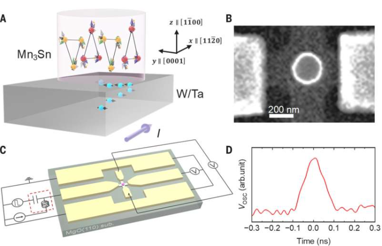 示例布局和测量系统