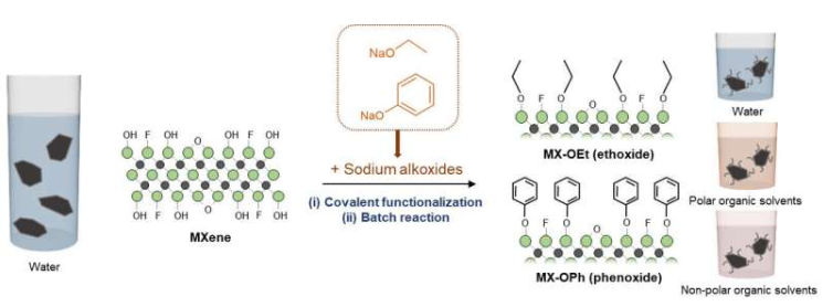 通过使MXene与醇盐(乙醇盐或苯酚盐)反应合成两亲性MXene的技术概述