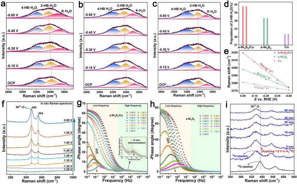 (昆明理工大学冶金与能源工程学院供图)