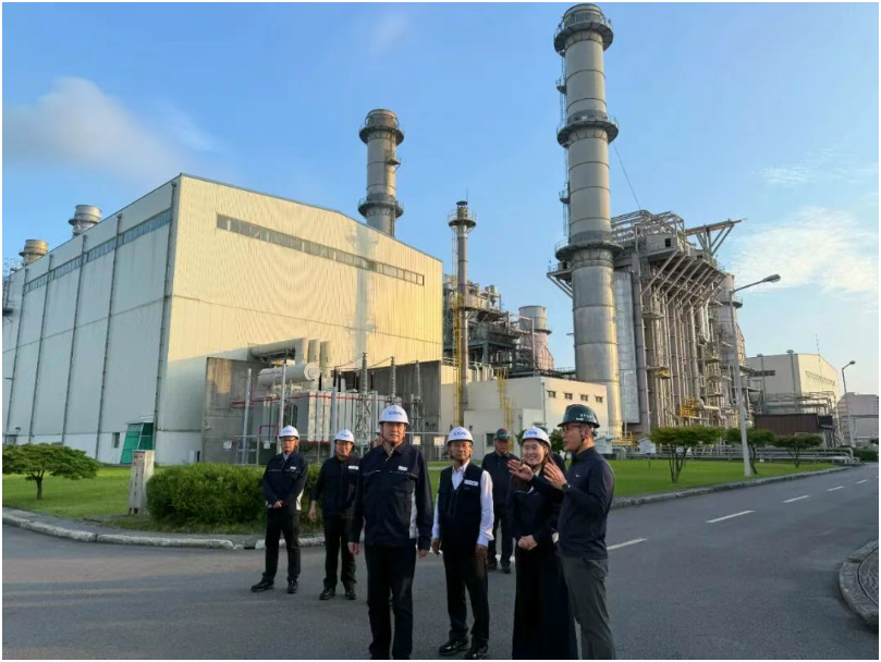 ▲杨长利在栗村电厂现场调研