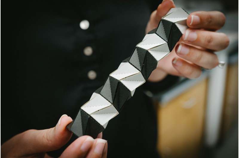 拉里萨&middot;诺维利诺手持一个折纸工程结构模型。图片来源：亚历克斯&middot;贝克尔/莱斯大学