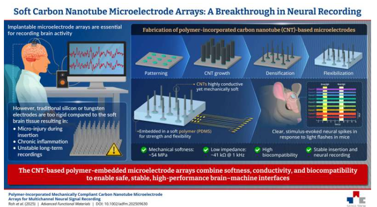 研究人员开发出用于记录脑信号的柔性碳纳米管-聚合物混合阵列