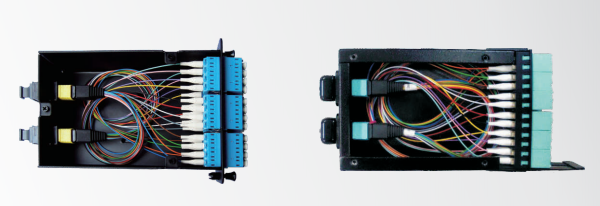 MPO Distribution Module