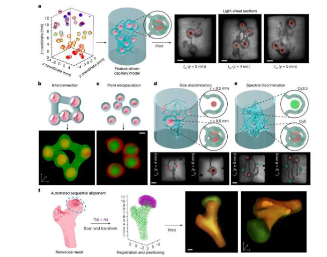 GRACE 可以打印具有复杂几何形状的自适应和特征驱动的模型