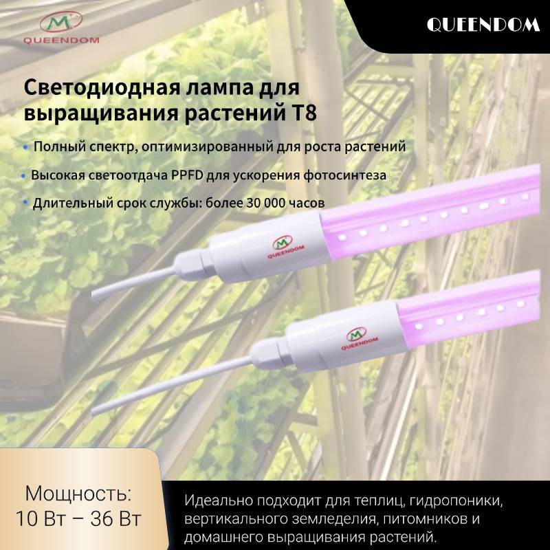 T8 LED Plant Grow Light Tube – Full Spectrum Lighting for Indoor Farming