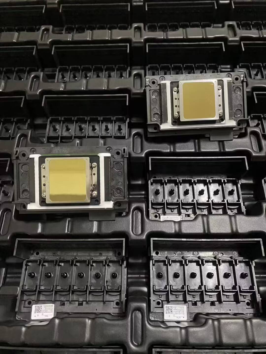 Epson xp600 print head