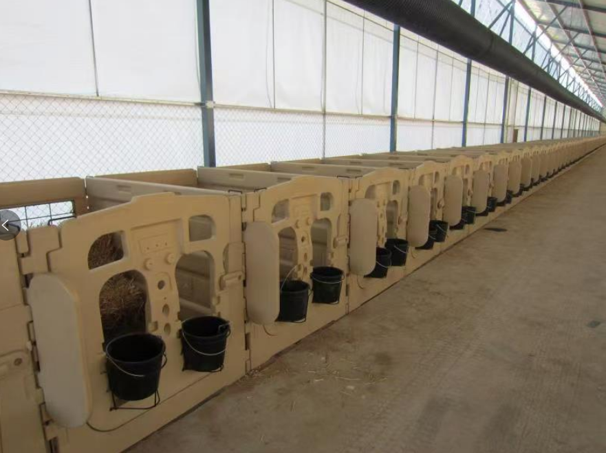 犊牛栏/犊牛笼/室内犊牛屋