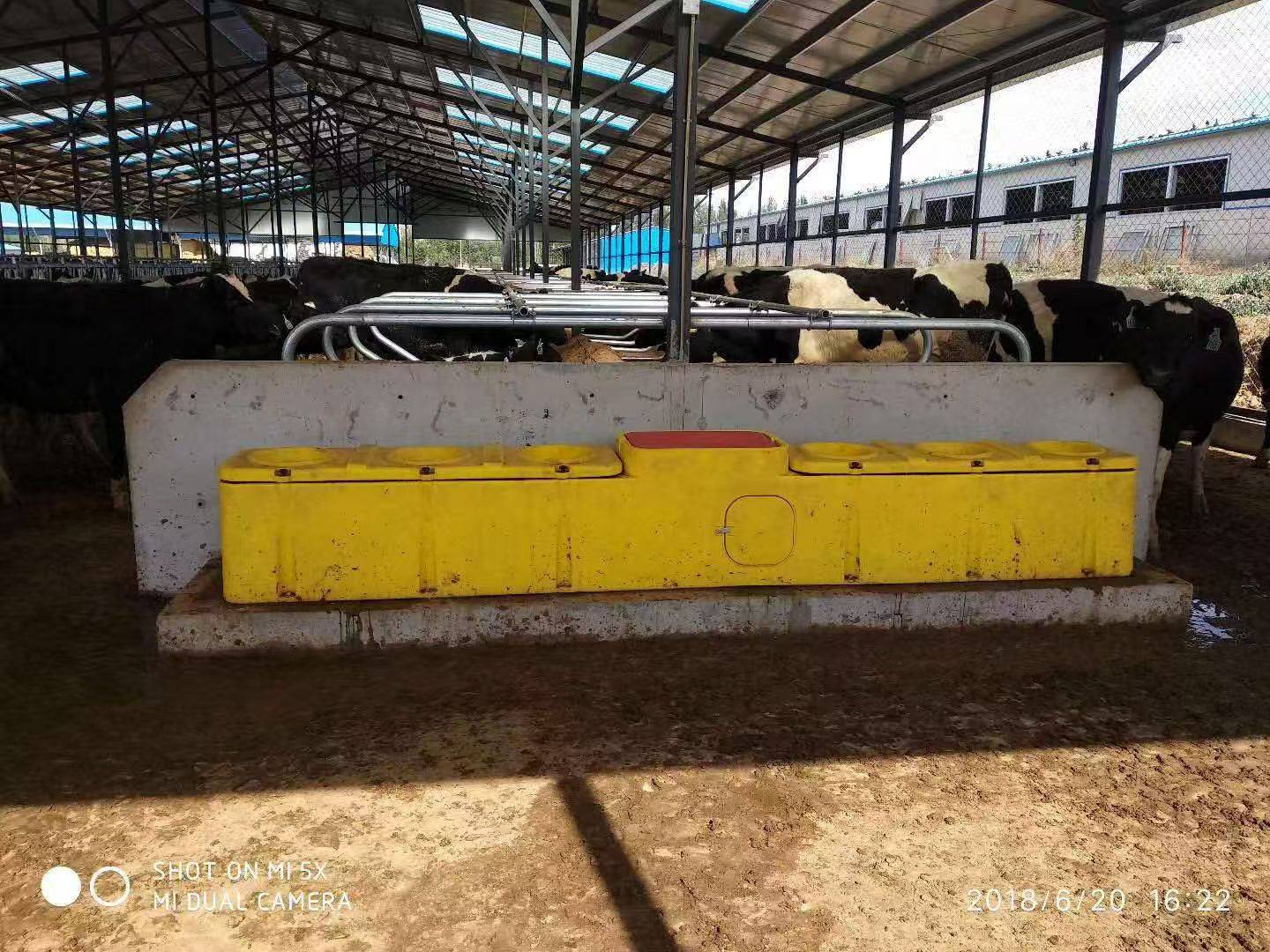 4米恒温自动上水饮水槽