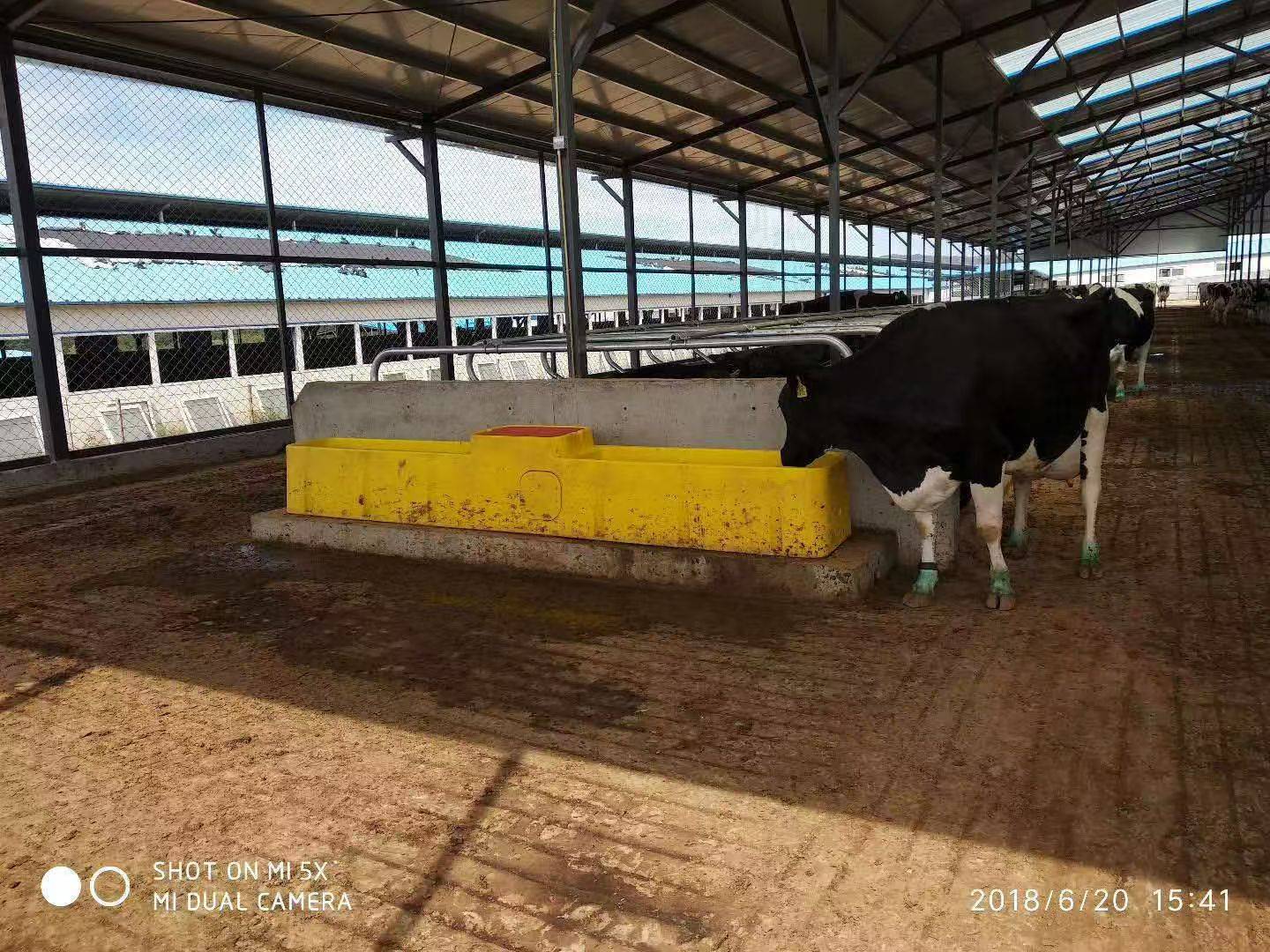 4米恒温自动上水饮水槽