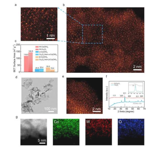 W-Co(OH) x和 W-Co 3 O 4的表征。(a、b)W-Co(OH) x的像差校正 HAADF-STEM 图像。(c)W-Co(OH) x、α-Co(OH) x、β-Co(OH) 2及其相应氧化物的 BET 面积。(d、e)W-Co 3 O 4的 TEM 和像差校正 HAADF-STEM 图像。(f)W-Co 3 O 4和由 α 相氢氧化钴制备的纯 Co 3 O 4的 XRD 图案。(g)W-Co 3 O 4的 EDS 元素映射