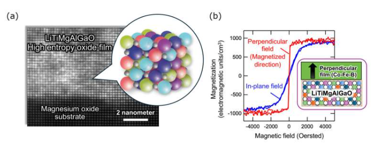 (a)LiTiMgAlGaO隧道势垒的横截面,显示组成元素的均匀分布。(b)使用该隧道势垒增强了铁磁层的垂直磁各向异性。