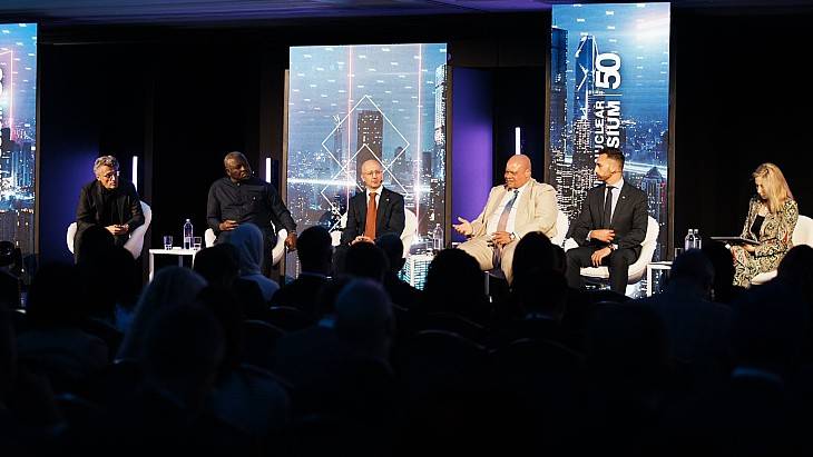 (图片:世界核协会)