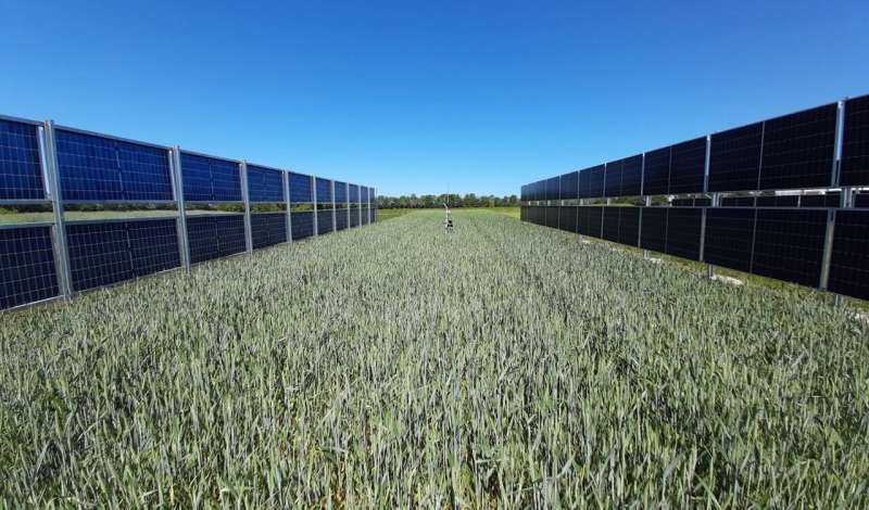 图片来源:奥胡斯大学