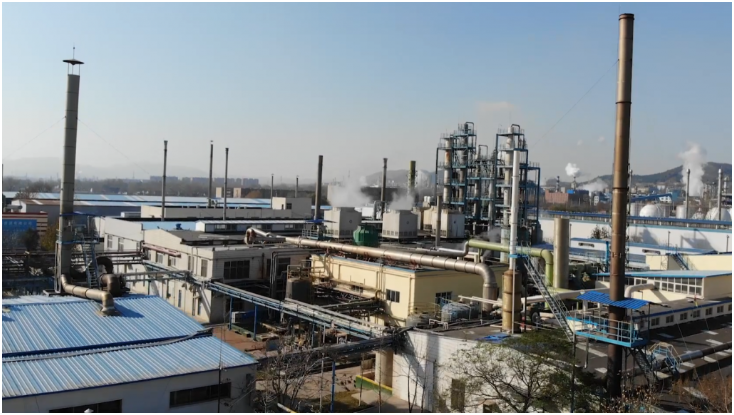 图片:Neo Materials