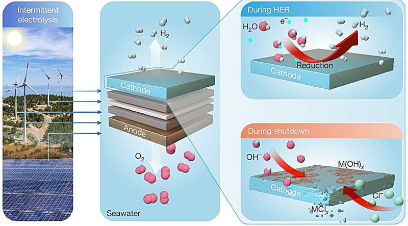 示意图显示了启动-关闭水/海水电解循环下的阴极氧化和腐蚀。图片来源：《自然》（2025）