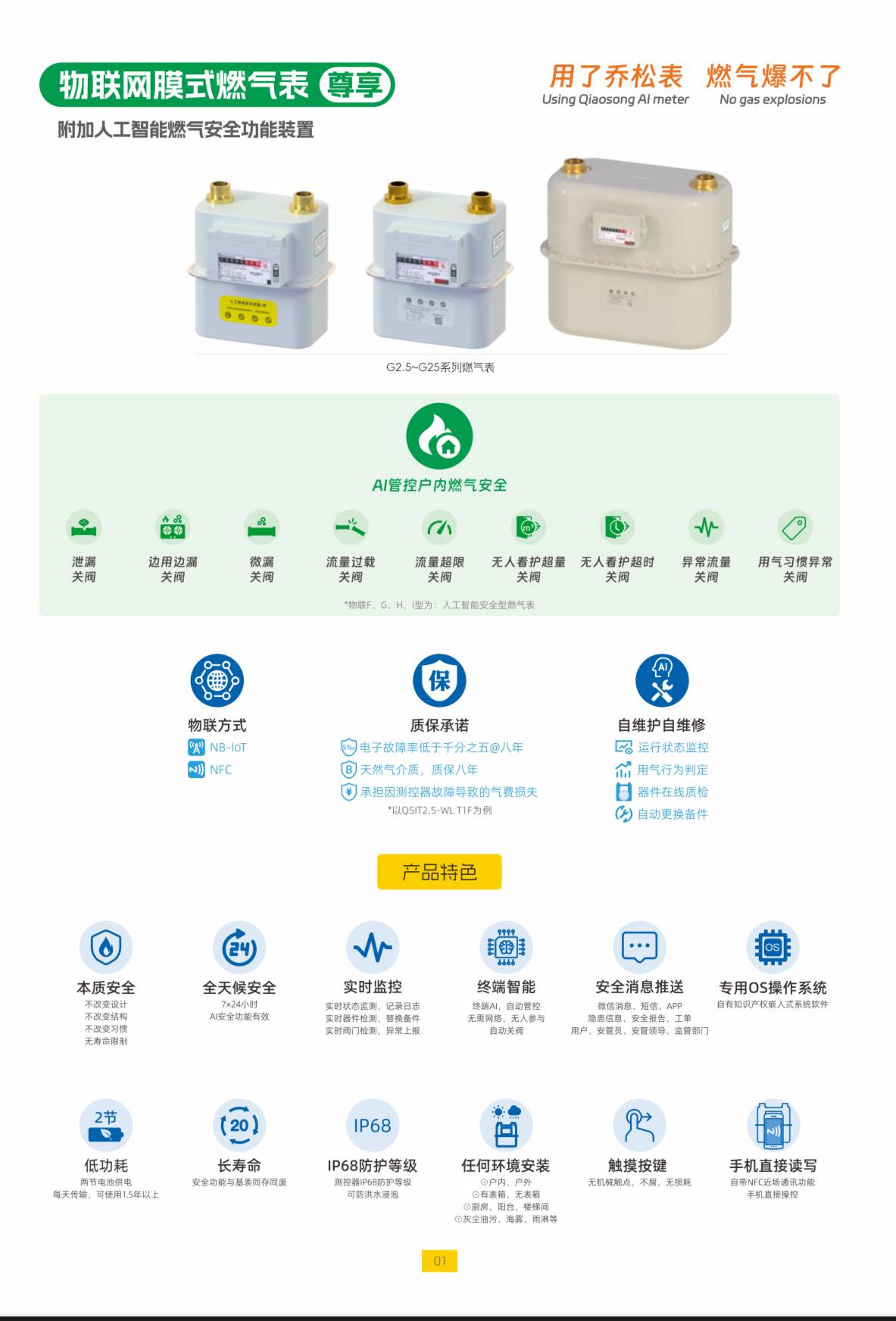 物联网膜式燃气表（附加人工智能燃气安全功能装置）