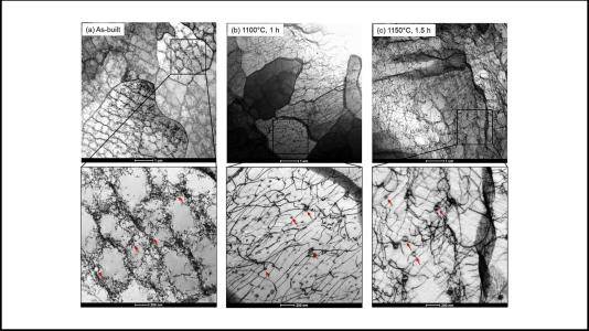 3D打印316H不锈钢在两种热处理工艺前(a)和后(b和c)的扫描透射电子显微镜图像。红色箭头表示纳米氧化物,它对钢材的热处理性能影响极大。(图片来自阿贡国家实验室。)