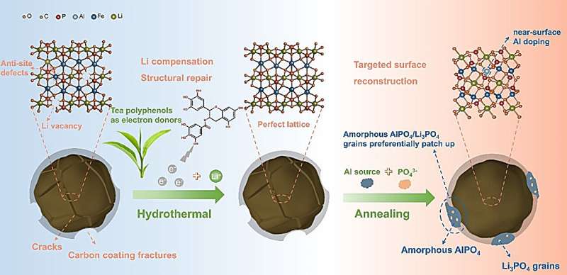 退役LiFePO₄正极直接修复再生机制示意图。图片来源:刘媛媛