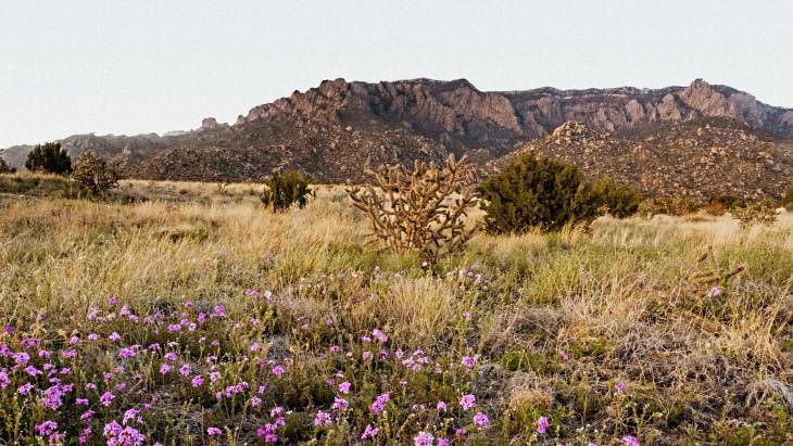 (图片:Pacific Fusion)