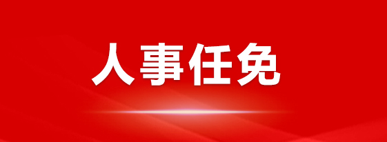 宋大勇(资料图)