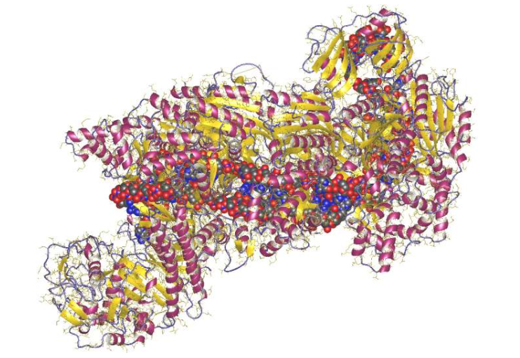 CRISPR(规律成簇短回文重复序列)+ DNA片段，大肠杆菌