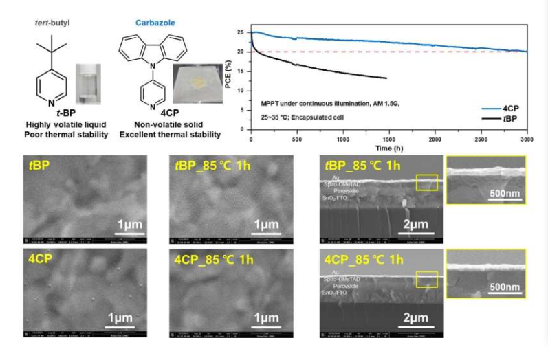 (左)tBP 和 4CP 的化学结构。插图:tBP 和 4CP 的图像。(右)PSC 的性能和稳定性。(下)使用 tBP 和 4CP 的 PSC 的热稳定性。图片来源:《自然·能源》(2025)。