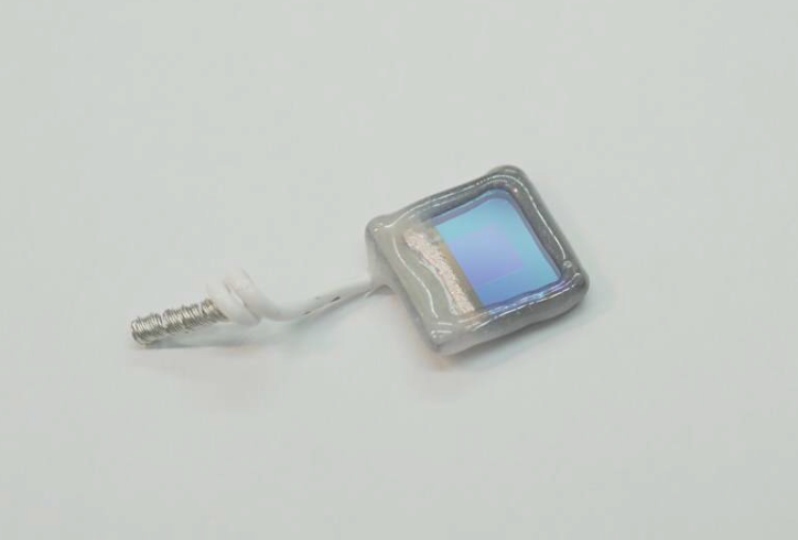 半人工有机光电阴极（正面图）