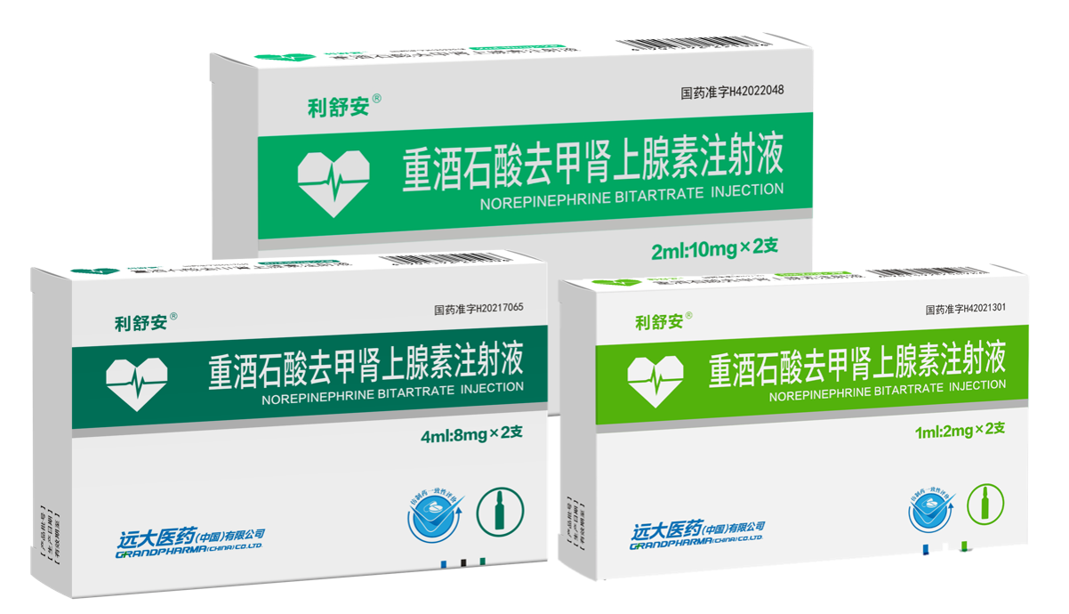 重酒石酸去甲肾上腺素注射液