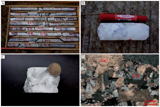 麻山头锶矿区天青石矿石照片(A,B,C-矿石照片,D-镜下照片,Cal-方解石,Cls-天青石)。