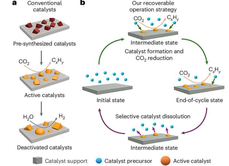 采用不同策略的二氧化碳转化为碳氢化合物的过程