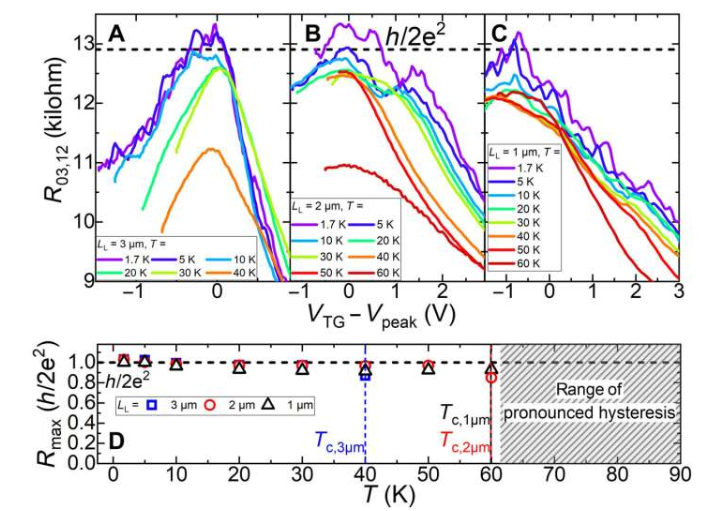 高达 T = 60 K 的稳健电导量子化。