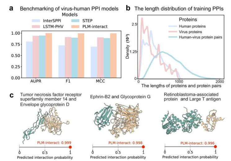 病毒-人类蛋白质相互作用(PPI)模型的基准测试结果