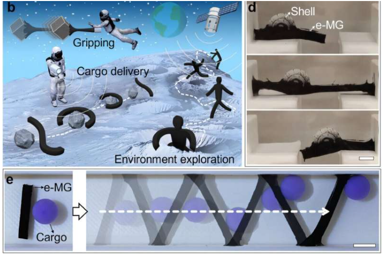 e-MG机器人的可变形性演示。